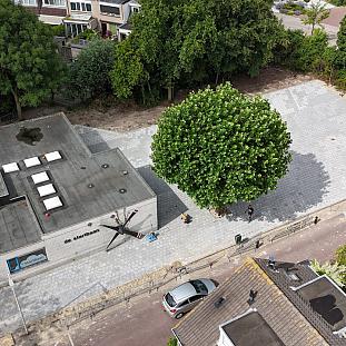 dji fly 20250724 113840 0018 1753406324452 photo